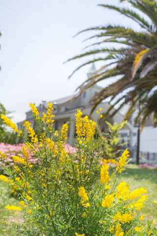 クリックして拡大