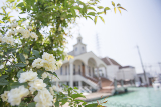 クリックして拡大