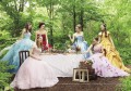 ディズニー ウエディングドレスコレクション
